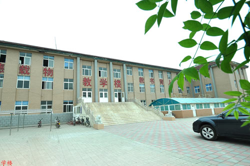 沧州国兴职业技术学校开设了哪些专业? 沧州国兴职业技术学校开设了哪些专业?