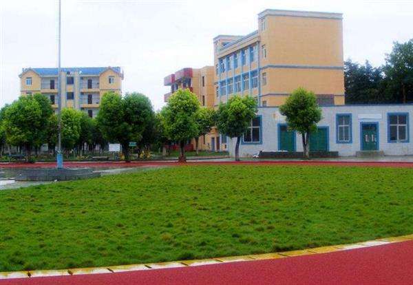 220891260720190111143555_3151 220891260720190111143555_3151