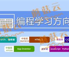 孩子为什么要尽早学习少儿编程。济宁蘑菇云少儿编程